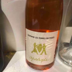 Apostrophe - Les Terres Promises - Jean-Christophe Comor 