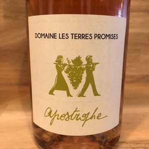 Apostrophe - Les Terres Promises - Jean-Christophe Comor 