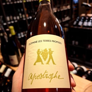 Apostrophe - Les Terres Promises - jean-christophe-comor