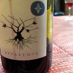 Apparente - Chateau Puech redon - cyril-cuche -2017