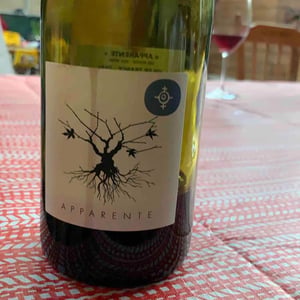 Chateau Puech redon - Cyril Cuche - Apparente