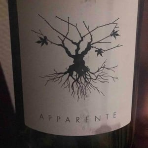 Chateau Puech redon - Cyril Cuche - Apparente