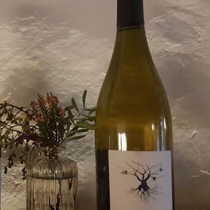 Apparente Blanc - Chateau Puech redon - cyril-cuche