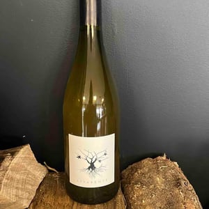 Apparente Blanc - Chateau Puech redon - cyril-cuche