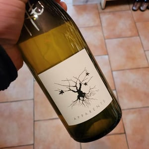 Apparente Blanc - Chateau Puech redon - cyril-cuche