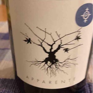 Apparente - Chateau Puech redon - cyril-cuche -2017