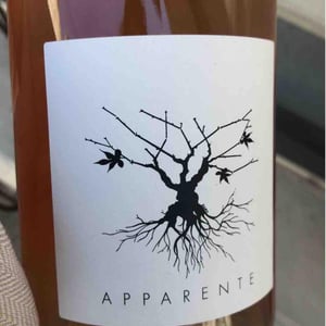 Apparente - Chateau Puech redon - Cyril Cuche -2017