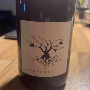 Apparente - Chateau Puech redon - Cyril Cuche -2017