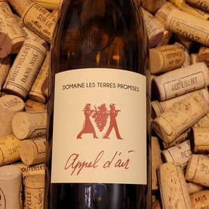 Appel d'air - Les Terres Promises - jean-christophe-comor