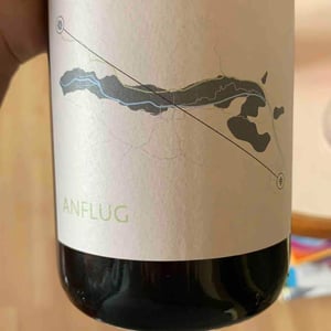 Anflug - Weingut Martin & Anna Arndorfer - martin-anna-arndorfer