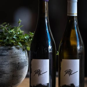 Apremont "Le Moulin" - Domaine Dupraz - marc-jeremy-maxime-dupraz