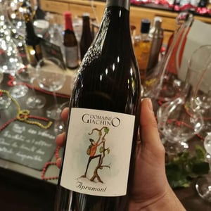 Apremont - Domaine Giachino - frederic-david-clement-giachino