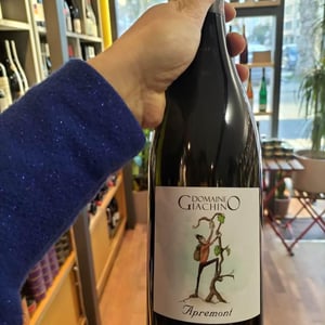 Apremont - Domaine Giachino - frederic-david-clement-giachino