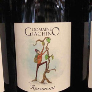 Apremont - Domaine Giachino - frederic-david-clement-giachino