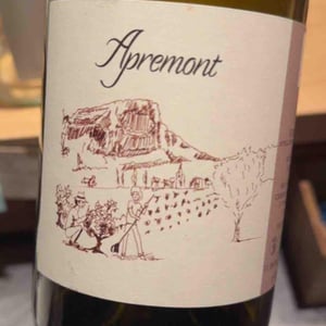 Apremont - Domaine Adrien Dacquin - Adrien Dacquin -2022
