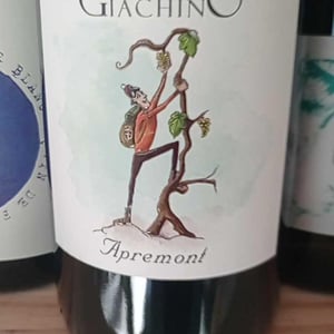 Apremont - Domaine Giachino - frederic-david-clement-giachino
