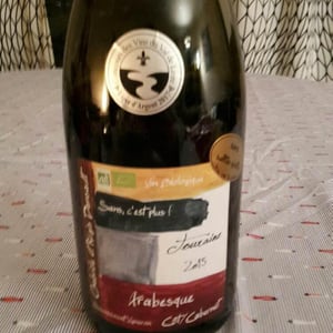 Arabesque - Non Précisé - gabriele-et-regis-dansault