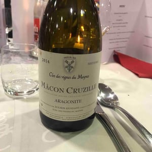 Clos des Vignes du Maynes - Julien Guillot - Aragonite