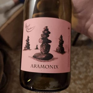 Aramonix - Mont de Marie - thierry-forestier