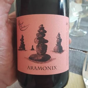 Aramonix - Mont de Marie - thierry-forestier