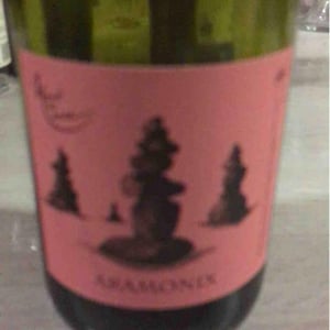 Aramonix - Mont de Marie - thierry-forestier