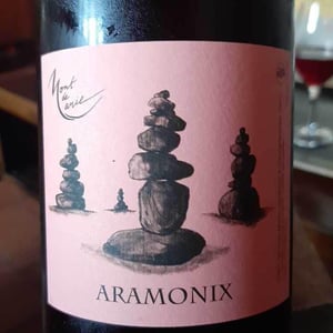 Aramonix - Mont de Marie - thierry-forestier