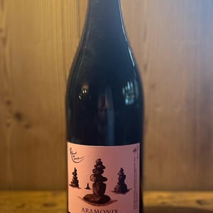 Aramonix - Mont de Marie - thierry-forestier
