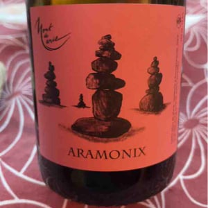 Aramonix - Mont de Marie - Thierry Forestier 