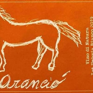 Arancio - Conestabile Della Staffa - Danilo Marcucci 
