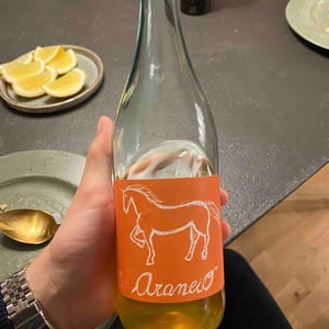 Arancio - Conestabile Della Staffa - Danilo Marcucci 