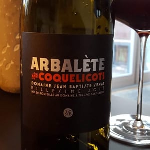 Arbalète et Coquelicot - Jean-Baptiste Senat - charlotte-jean-baptiste-senat