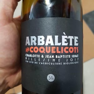 Arbalète et Coquelicot - Jean-Baptiste Senat - charlotte-jean-baptiste-senat