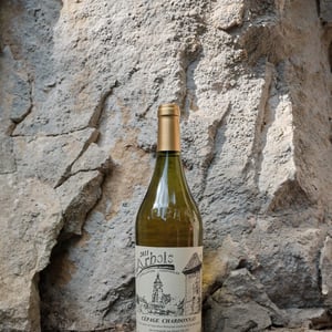Chardonnay - Domaine Villet - gerard-christine-villet