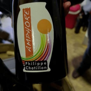 Amphore Savagnin Ouillé - Domaine Philippe Chatillon - Philippe Chatillon 