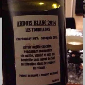 Domaine Renaud Bruyère & Adeline Houillon - Renaud Bruyère & Adeline Houillon - Arbois "Blanc"