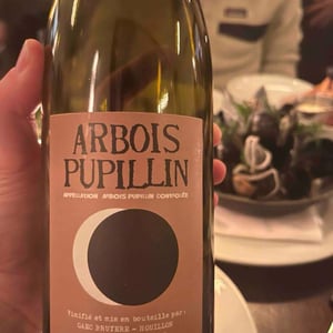 Arbois "Blanc" - Domaine Renaud Bruyère & Adeline Houillon - Renaud Bruyère & Adeline Houillon 