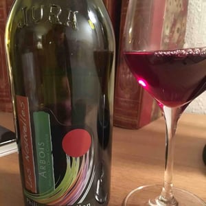Arbois - "Les Nouvelles" - Pinot Noir - Domaine Philippe Chatillon - philippe-chatillon