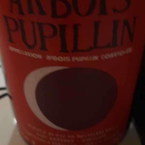 Arbois "Ploussard" - Domaine Renaud Bruyère & Adeline Houillon - Renaud Bruyère & Adeline Houillon 
