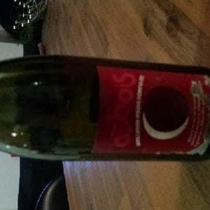 Arbois "Ploussard" - Domaine Renaud Bruyère & Adeline Houillon - renaud-bruyere-adeline-houillon