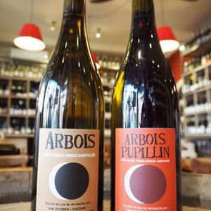 Arbois "Ploussard" - Domaine Renaud Bruyère & Adeline Houillon - Renaud Bruyère & Adeline Houillon 
