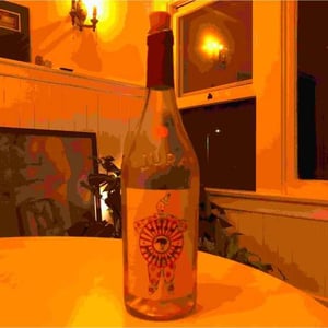 Arbois "Ploussard" - Domaine Renaud Bruyère & Adeline Houillon - renaud-bruyere-adeline-houillon