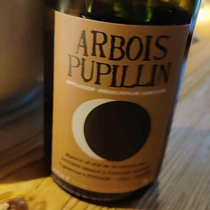 Arbois-Pupillin "Blanc - Chardonnay Vieilles Vignes" - Domaine Renaud Bruyère & Adeline Houillon - renaud-bruyere-adeline-houillon