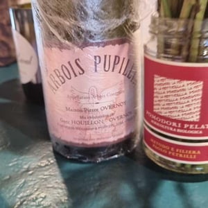 Maison Pierre Overnoy - Emmanuel Houillon & Pierre Overnoy - Arbois-Pupillin - Chardonnay