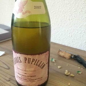 Chardonnay 7