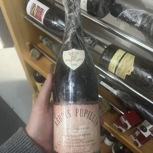 Arbois Pupillin Poulsard - Maison Pierre Overnoy - emmanuel-houillon-pierre-overnoy -2018