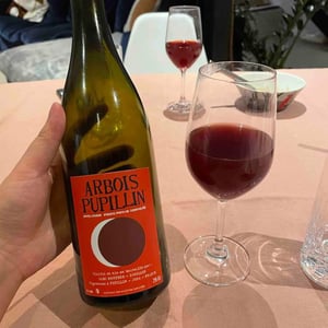 Domaine Renaud Bruyère & Adeline Houillon - Renaud Bruyère & Adeline Houillon - Arbois-Pupillin "Ploussard"