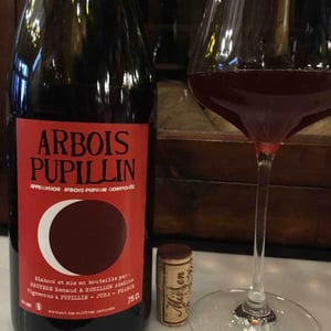 Domaine Renaud Bruyère & Adeline Houillon - Renaud Bruyère & Adeline Houillon - Arbois-Pupillin "Ploussard"