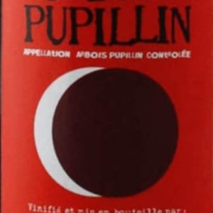Domaine Renaud Bruyère & Adeline Houillon - Renaud Bruyère & Adeline Houillon - Arbois-Pupillin "Ploussard"