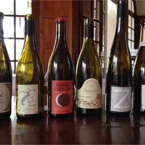 Domaine Renaud Bruyère & Adeline Houillon - Renaud Bruyère & Adeline Houillon - Arbois-Pupillin "Ploussard"