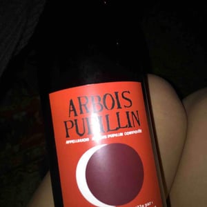Arbois-Pupillin "Ploussard" - Domaine Renaud Bruyère & Adeline Houillon - renaud-bruyere-adeline-houillon